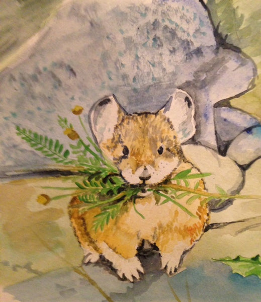 Molly and the Tale of the American Pikas