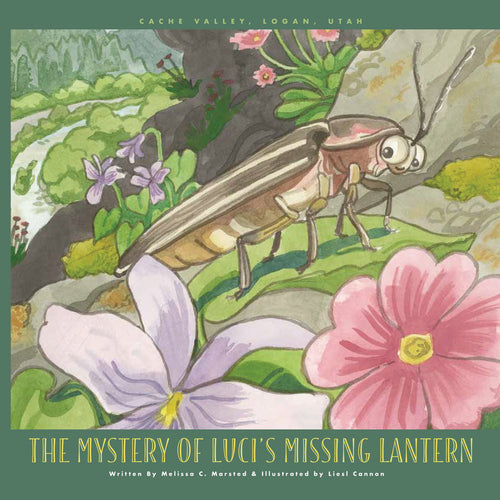 The Mystery of Luci's Missing Lantern
